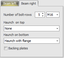 Beam to column additional settings